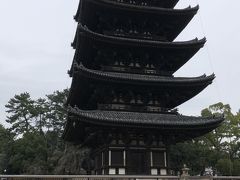 すぐそばに、興福寺五重塔。

こんなんだったかな～、修学旅行の記憶を手繰り寄せてもほとんど記憶になし。
修学旅行ってそんなものかな～。

