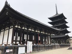 こちらが興福寺ご本殿ですか。

興福寺と五重塔。