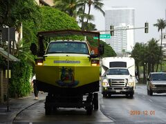 ダックがやってきました。