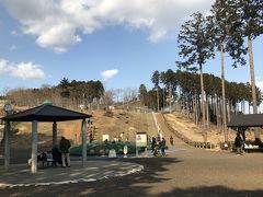 11時にチェックアウトして、乙女峠経由で御殿場へ。
1時間ほど走らせ富士山樹空の森へ。
ローラースライダーやトランポリンがあります。
