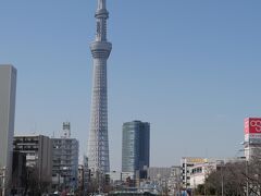 北十間川の福神橋からのスカイツリー