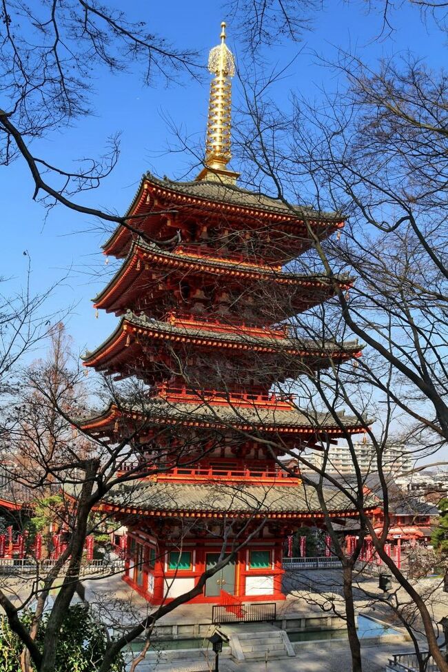 京王百草園の観梅と高幡不動 日野 昭島 東京 の旅行記 ブログ By ペコちゃんさん フォートラベル