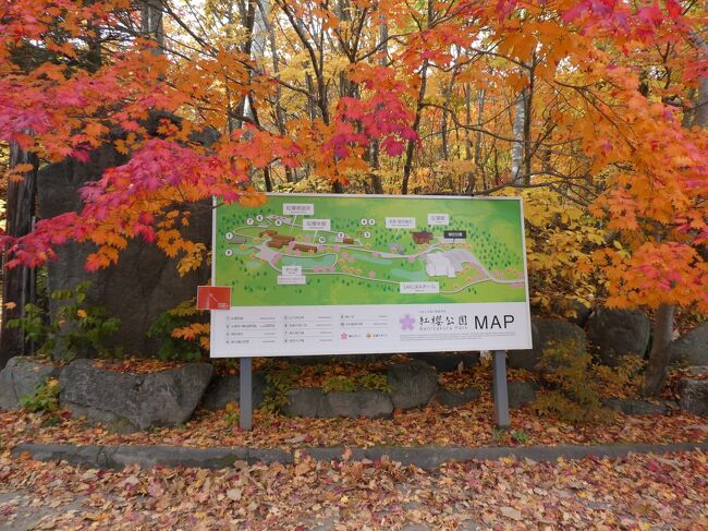紅葉☆ 札幌市内の紅葉スポット 紅桜公園』厚別・豊平・真駒内(北海道
