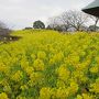 早春の伊豆と熱海ドライブ旅行。