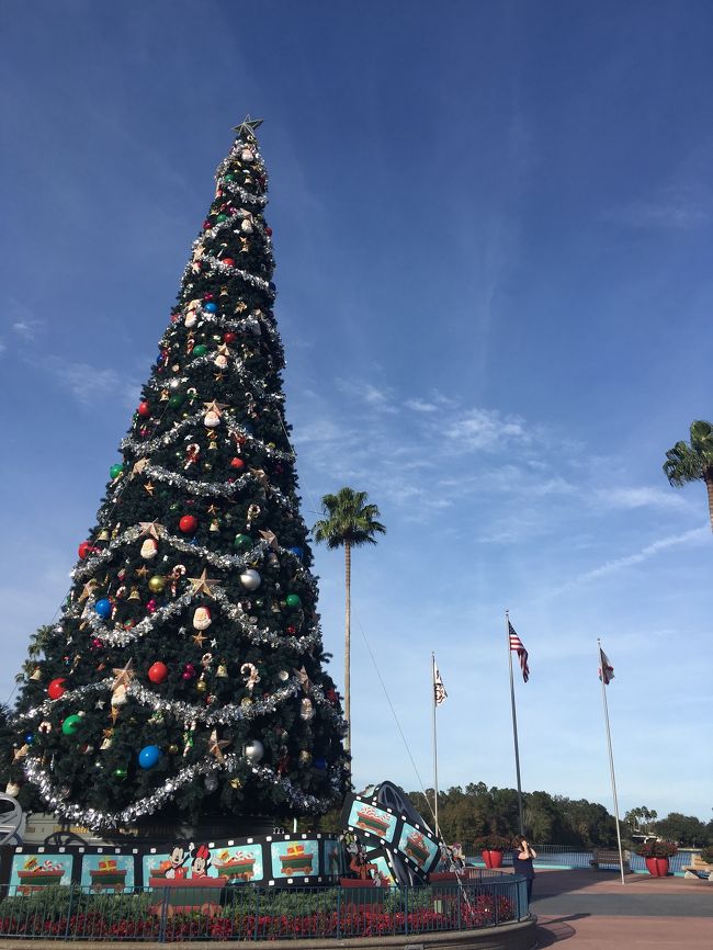 HSのエントランスを出たところには、こんなに大きなツリーが♪