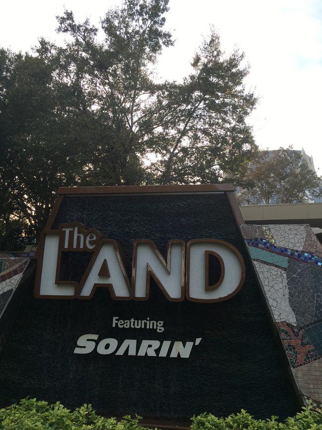 娘が大好きなこちら!!