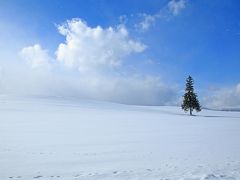一方、こちらの写真は美瑛ですが、旭川をはじめとした道央方面は豪雪地帯で、移動もままならないほどの雪が何度も降ります。
その代わり、雪が降り終わった瞬間の風景は何物にも代えがたい絶景です。