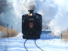 私の住んでいた釧路は、雪はそれほど降りません。天気も晴天の日が多く、窓から外を見ると暖かそうに見えますが、常に零下の気温ですので、外出には十分な防寒対策が必要です。
雪に関しては年5回前後と日数は少ないですが、気温が低いため、降ったらすぐに雪かきをしないと根雪となり、更にそれが凍って後で大変なことになります。