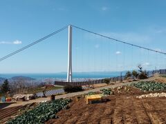 三島スカイウォークからの眺め