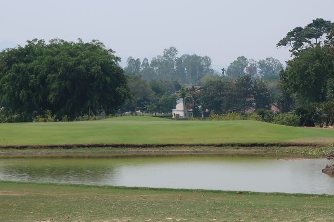 グリーン右端で攻めた....まだ、未熟で、旗狙いができない。<br />グリーン端、ギリギリ辺りに置けた。