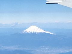 富士山が見えました！

こんなにはっきり見えたのは初めてで大興奮です！！