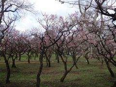 北野天満宮 (天神さん)