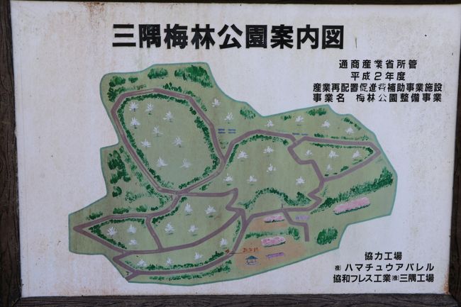 満開の梅 負けじと桜も咲いちゃった 春満喫の島根 浜田ドライブ 三隅 金城 旭 島根県 の旅行記 ブログ By ちゃみおさん フォートラベル