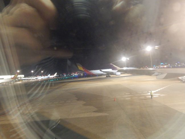 でも、普段ハワイ便で、まず寝られない、母、滑走路移動を待たず爆睡