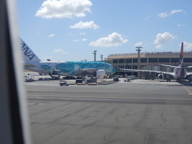 ＡＮＡのホヌが<br />イミグレーションへ行くぞ