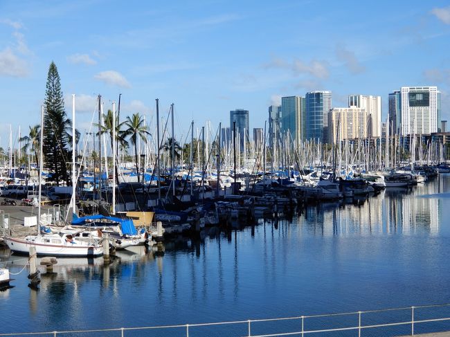 眺めがいいので