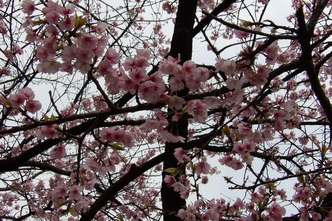 2015年3月20日（https://4travel.jp/travelogue/10992595）。