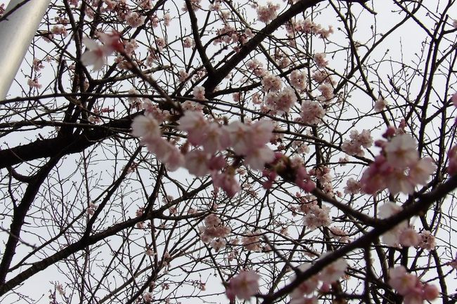 2015年3月14日（https://4travel.jp/travelogue/10990844）。