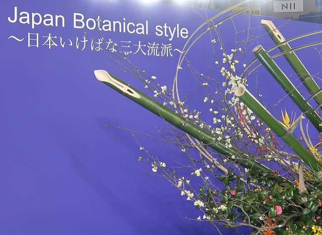 花の秘傳　花の秘伝　華道　池坊　小原流　草月流　未生流 世界らん展-9 日本いけばな 三大流派 競演 ☆「池坊」「草月流