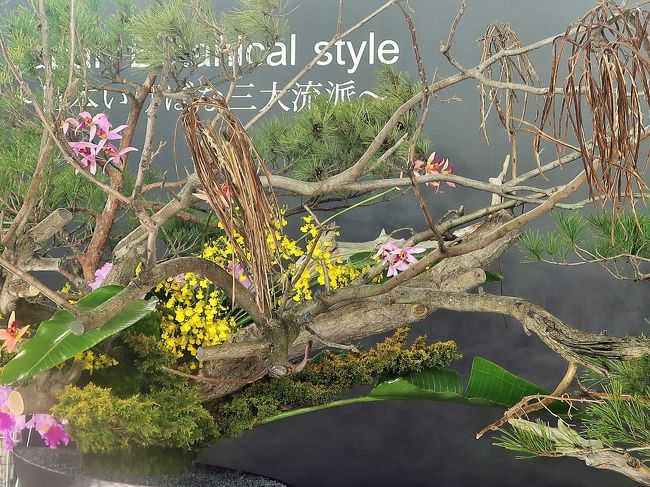世界らん展-9 日本いけばな 三大流派 競演 ☆「池坊」「草月流