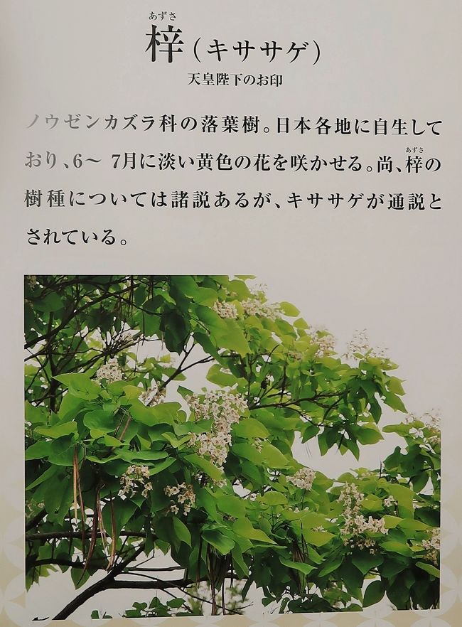 世界らん展10 盆栽 一位・真柏・橘・寒椿 ☆盆栽作家（木村正彦