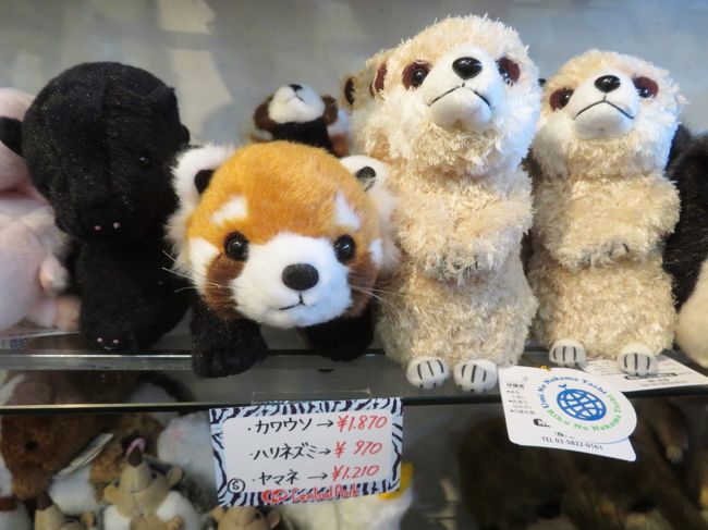 姫路 神戸レッサーパンダ遠征 3 神戸グルメと品揃え豊富な姫セン 神戸どうぶつ王国でのショッピング みやげ 動物園いろいろ 神戸 兵庫県 の旅行記 ブログ By まみさん フォートラベル 姫路 神戸レッサーパンダ遠征 3 神戸グルメと品揃え豊富な姫セン 神戸どうぶつ王国でのショッピング みやげ 動物園いろいろ 神戸 兵庫県 の旅行記 ブログ By まみさん フォートラベル