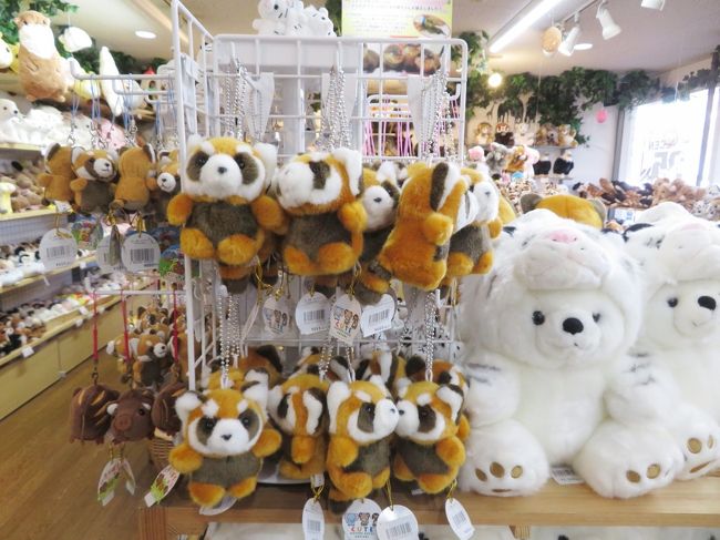 姫路 神戸レッサーパンダ遠征 3 神戸グルメと品揃え豊富な姫セン 神戸どうぶつ王国でのショッピング みやげ 動物園いろいろ 神戸 兵庫県 の旅行記 ブログ By まみさん フォートラベル 姫路 神戸レッサーパンダ遠征 3 神戸グルメと品揃え豊富な姫セン 神戸どうぶつ王国でのショッピング みやげ 動物園いろいろ 神戸 兵庫県 の旅行記 ブログ By まみさん フォートラベル