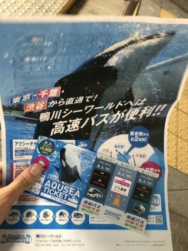 お得なチケットゲット！往復のバス代と入場料合わせて5,600円！ほぼ入場料は無料です！