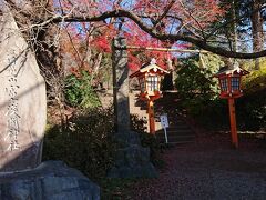 新倉富士浅間神社
泊まったホテルふじ竜が丘から歩いて30分ほどです。