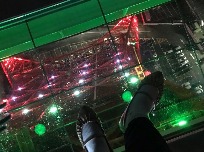 東京タワー展望台満喫しました。