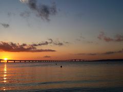 夕日が橋にかかる瞬間、とろりとゆがむのがまた美しいです。