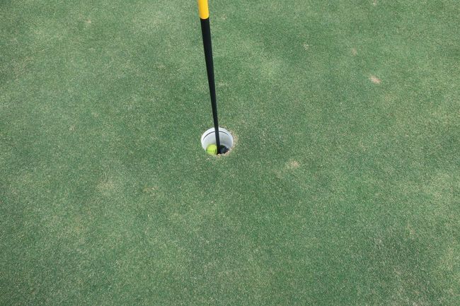 MountainNo.5、331Yミドルホールでイーグル。<br />残り135Yヤヤ追い風、8Iで達成。<br />良い記念になりました。