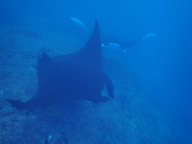 ブラックマンタ！！