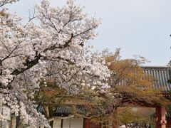 階段降りた向かいに真如堂。