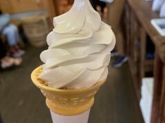 湯浅醤油

売店で醤油ソフトクリーム

ガイドは無料だった。