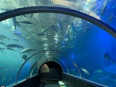 串本海中公園　　

水中トンネル