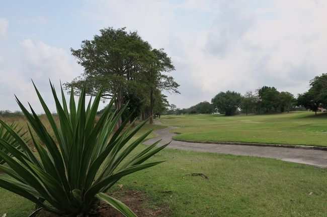 ■【Burapha Golf &amp; Resort】<br />A&amp;Bに比べ、高低差が有り。<br />左右ラフに入れると、球が隠れて、打つに難しい。