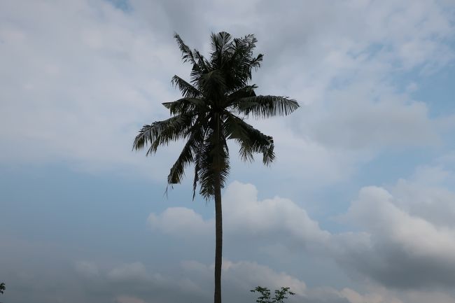 ■【Burapha Golf &amp; Resort】<br />グリーンが分からず、36パットで全滅、残念結果。<br />C&amp;Dは暫くぶりで、記憶あるホールは、少なかった。<br />又、チャレンジはしたいですね。<br />1週前腹痛の体調不良後の回復プレー....腕悪しだが、<br />プレーを無事できて良かったのが、慰めになりました。