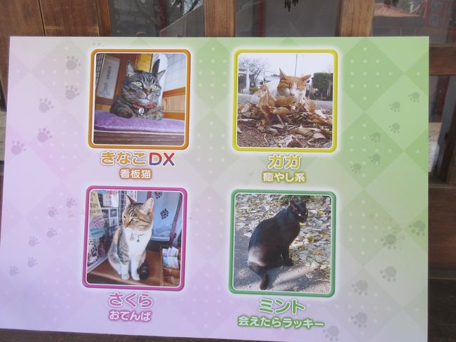 週末散歩 可愛い猫ちゃんの御朱印もらえる玉前神社とさきたま古墳 忍城へ 行田 羽生 加須 埼玉県 の旅行記 ブログ By Yuririnさん フォートラベル 週末散歩 可愛い猫ちゃんの御朱印もらえる玉前神社とさきたま古墳 忍城へ 行田 羽生 加須 埼玉県 の旅行記 ブログ By Yuririnさん フォートラベル