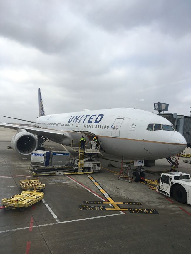 シカゴ・オヘアから成田まではこれで帰ります♪