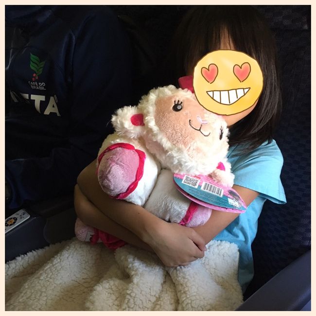 出ました!! 搭乗前にお店をぶらぶら見ていたら、見つけてしまった笑<br />娘、大好きなラミー!!搭乗する時に大事そうに持っていた袋の中身はこちら笑<br />これ、枕にもなるらしい笑