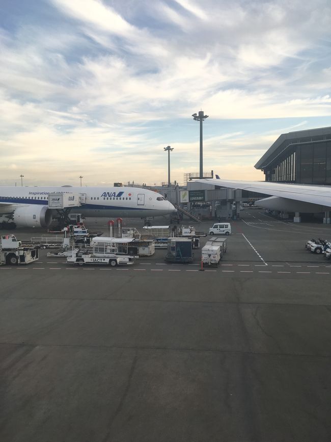 きっと寒いんだろうな^^;