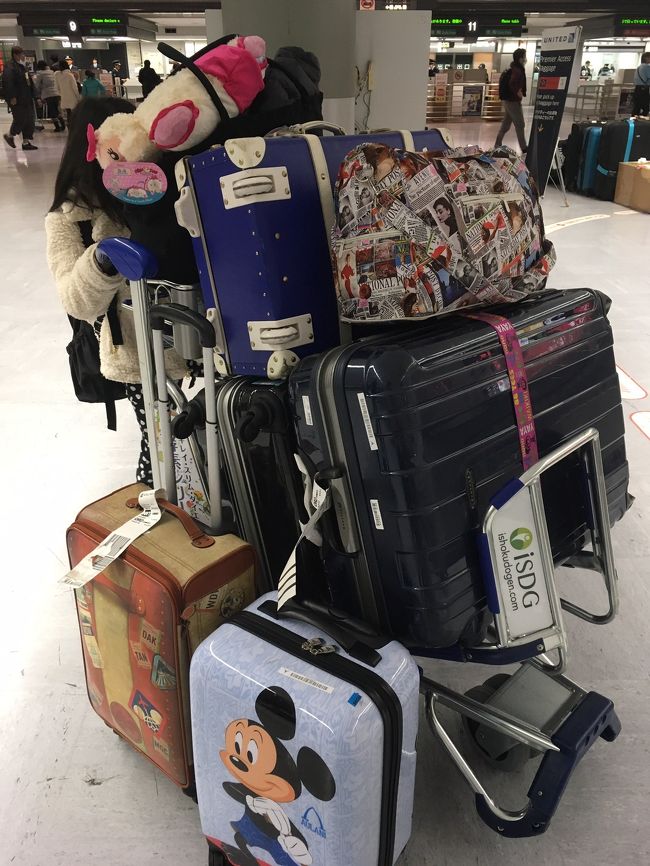 荷物もかなり増えました笑<br />元々多いけど笑<br /><br />11日間無事に楽しんで来ることができました。<br />今回、パークを6日間の、9泊11日の旅でした。<br />３人とも思った事。それは、遊ぶのってこんなに大変なのって笑<br />それ位、毎日のパーク通いは楽しかったけど、疲れも限界でした。<br />多分、日本とは朝晩真逆の時差の影響も大きかったからかな。<br />でも、やっぱり楽しかった!!<br />今まで色んな場所に行ったけど、ベスト３に入る位でした。<br />娘の記憶にも、長く残ってくれたら嬉しいな～<br />