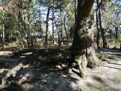 沼津御用邸記念公園