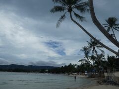 外は暖かいのですが、この日はどんよりとした天気で空には雲が多めでした。