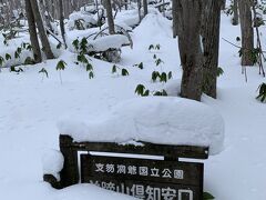 午後は半月湖でスノーシュートレッキング。ここは羊蹄山の登山口になります。