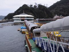 バスは10分足らずで水族館に着いたが、この選択は大誤算だった。
想い描いていた水族館の佇まいとは違い、屋外施設が多い吹きさらしの水族館だったのだ。
しかも、海の中にあるのでさらに寒く感じ、イルカショーなどには目もくれず、屋内施設へ直行するしかなかった。