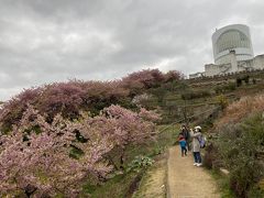 第22回　まつだ桜まつり