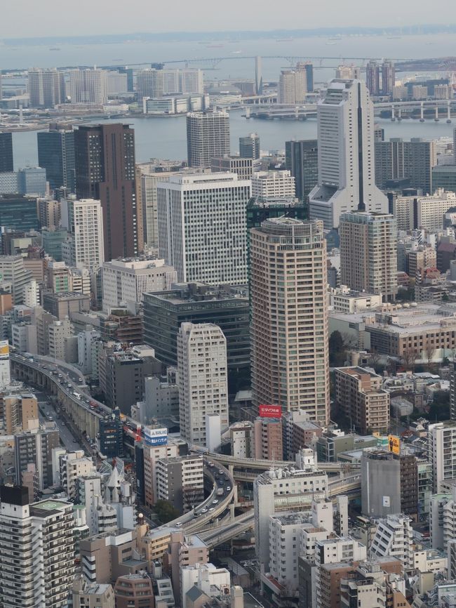 遠くにゲートブリッジも。