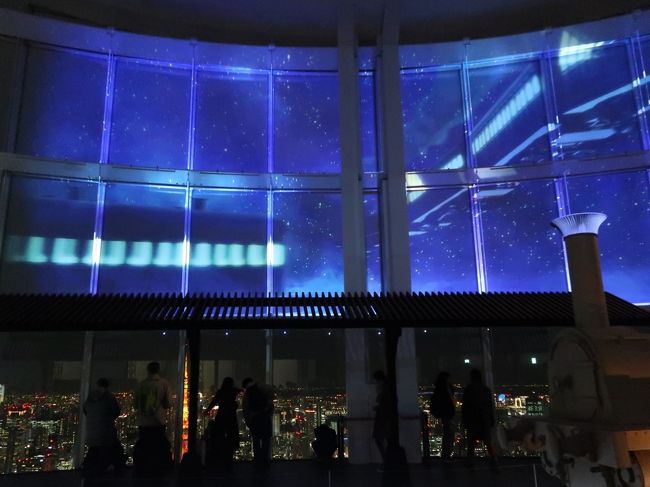 夜景と融合したファンタジックな世界へ。